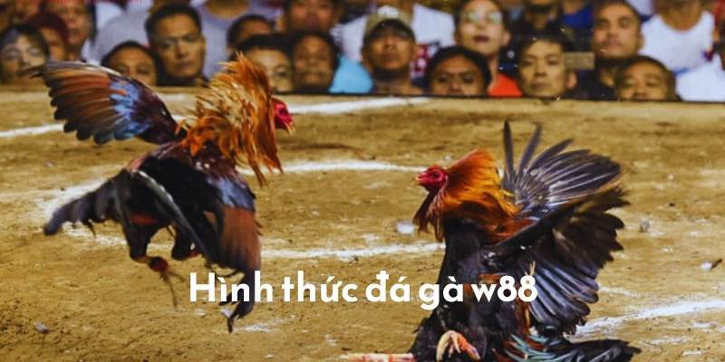 Hình thức đặt cược đá gà W88 rất nhanh chóng